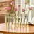 VASO TUBES - comprar online