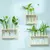 VASO PLANTS - comprar online