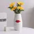 VASO ROUGE