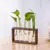 VASO PLANTS - comprar online