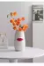VASO ROUGE - comprar online