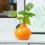 VASO TANGERINE