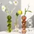 VASO BUBBLE - comprar online
