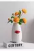 VASO ROUGE - loja online