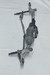 Galhada Maquina Limpador Diant Onix Prisma 13/19 52059676