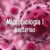 Microbiología I Bacterias Cat1