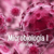 Apuntes Microbiología I