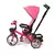 TRICICLO 360 LOVE en internet