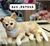 GATO 25CM - comprar online