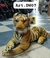 PELUCHE- SUPER TIGRE - comprar online