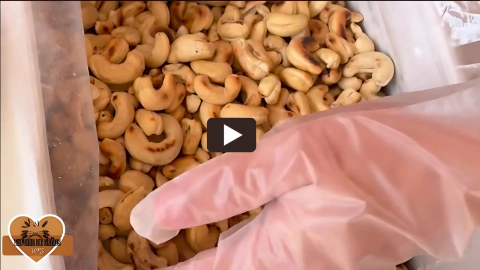 Vídeo de Euforia de Grãos WPS