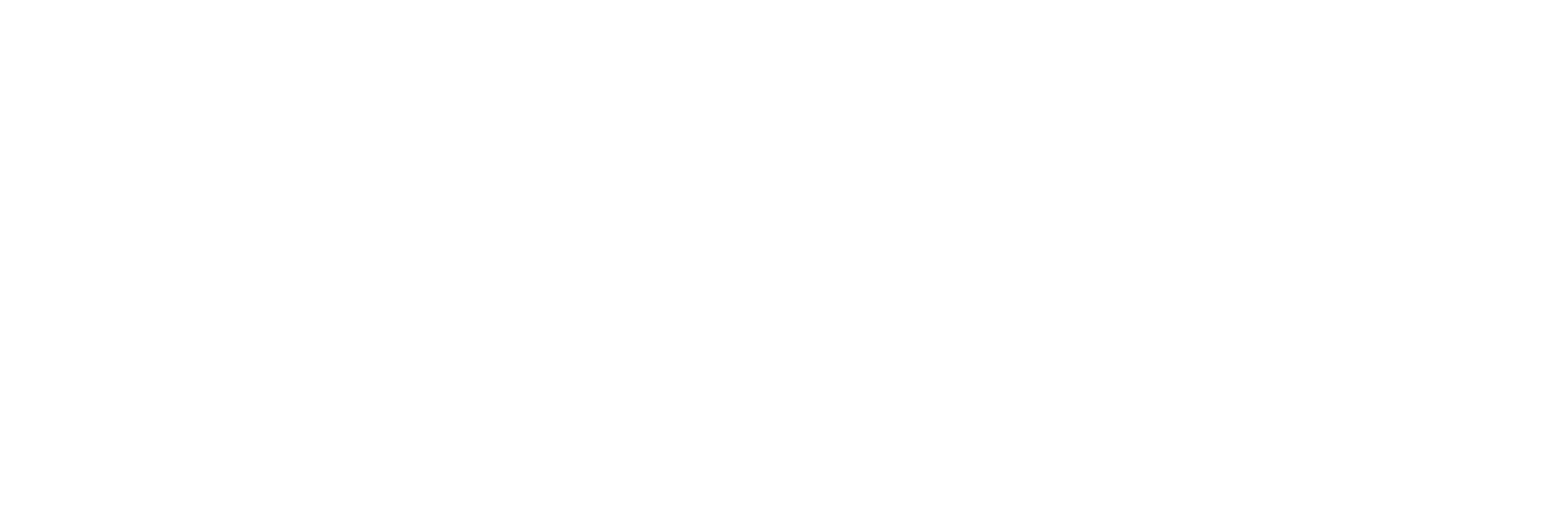 BurningChips