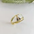 Anel Nossa Senhora Aparecida Ouro18k/750