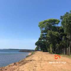 CAMPITO 85 HECTAREAS EN ISLA APIPE Apta para Turismo y/o cultivos - Martin de la Vega Propiedades