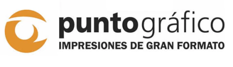 Punto Grafico