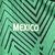 Camisa Seleção do México Edição especial 23/24 - Torcedor Masculina - Verde com detalhes em vermelho e preto - Camisas de Futebol e Basquete | MAF - Sports