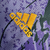Camisa Real Madrid Edição Especial 23/24 - Torcedor Adidas Masculina - Roxa com detalhes em azul e amarelo - Camisas de Futebol e Basquete | MAF - Sports