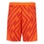 Shorts Borussia Dortmund Goleiro II 23/24 - Masculino Puma - Laranja - comprar online