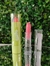 Balm Labial Mágico - Melu - comprar online