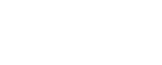 Elev Company