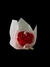Rosa mediana en internet