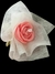 Rosa mediana