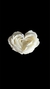 Peonia en forma de corazón - comprar en línea