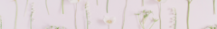 Banner de la categoría Skincare