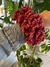 Scrunchie Chenille en internet