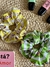 Pack scrunchies Kids - Hello kitty y sus amigos en internet