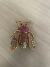 Broche inseto na internet