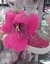 BOTAS DE NINAS DIFERENTES TONOS Y TALLAS - comprar online