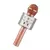 Micrófono Karaoke con parlante bluetooth HYTOSHY - comprar online