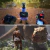 ARK: Survival Ascended Digital PS5 - comprar online