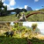 ARK: Survival Ascended Digital PS5 en internet