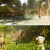 ARK: Survival Ascended Digital PS5 - PuertoGamer