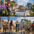 Assassin's Creed Odyssey Digital PS4 / PS5 Retrocompatible - PuertoGamer