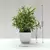 Planta em vaso artificial para mesa na internet