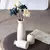 Conjunto de Vasos Cerâmicos para Decoração