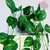 Planta Trepadeira Artificial Jiboia Com Vaso Branco - ROCRIS CASA E DECORAÇÃO