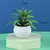 Planta em vaso artificial para mesa na internet