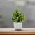 Planta em vaso artificial para mesa