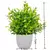 Planta em vaso artificial para mesa - ROCRIS CASA E DECORAÇÃO
