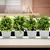 Planta em vaso artificial para mesa - loja online