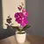 Orquídea Borboleta Bonsai
