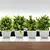 Planta em vaso artificial para mesa - ROCRIS CASA E DECORAÇÃO