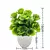 Planta em vaso artificial para mesa