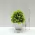 Planta em vaso artificial para mesa na internet