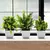 Planta em vaso artificial para mesa