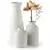 Conjunto de Vasos Cerâmicos para Decoração - comprar online